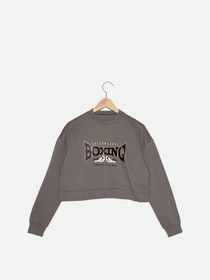 Худи и свитшоты Trendyol модель TWOAW22SW1080/Gri Фото