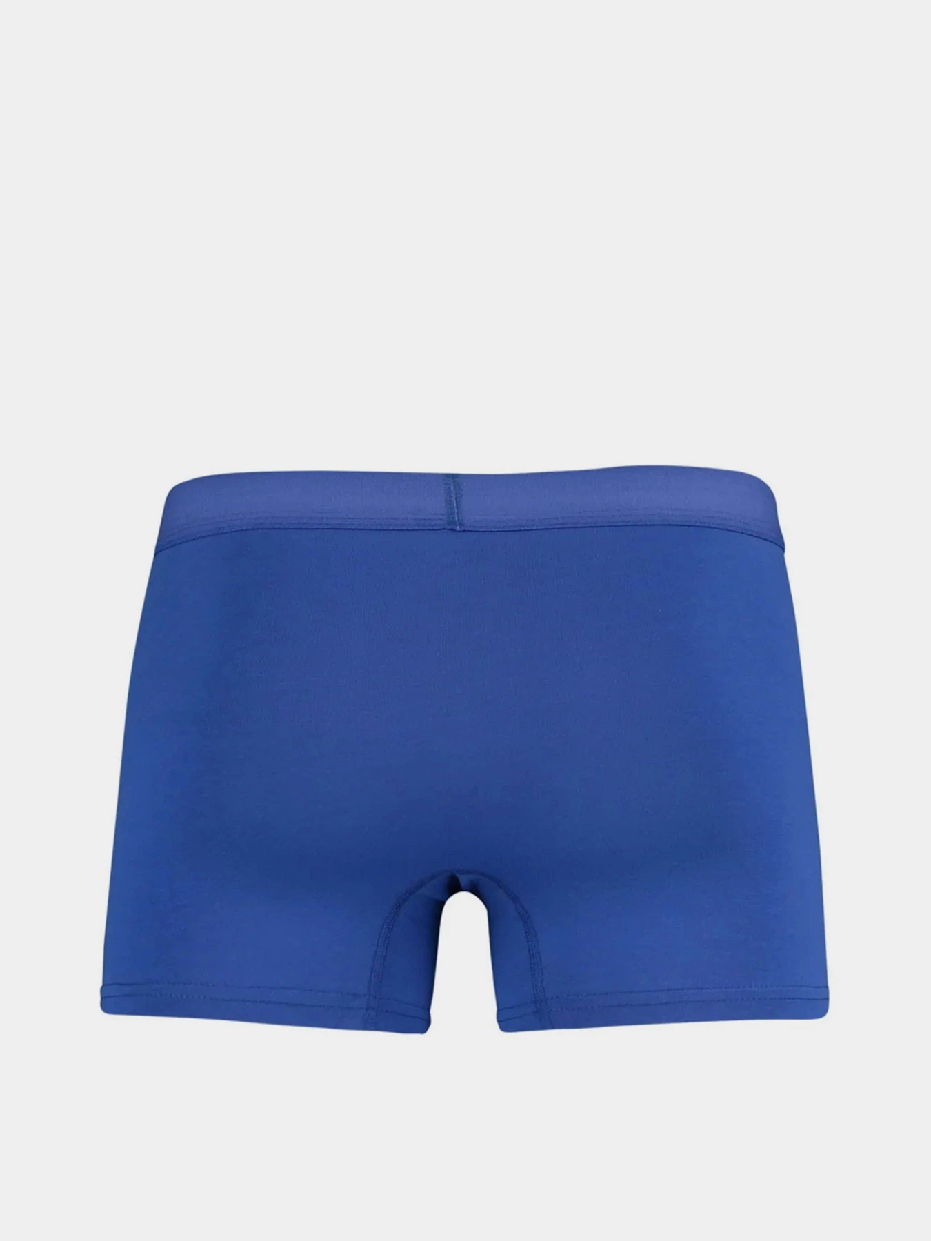Нижнее белье Trendyol модель TMNAW23BX00027/Cok Renkli Фото