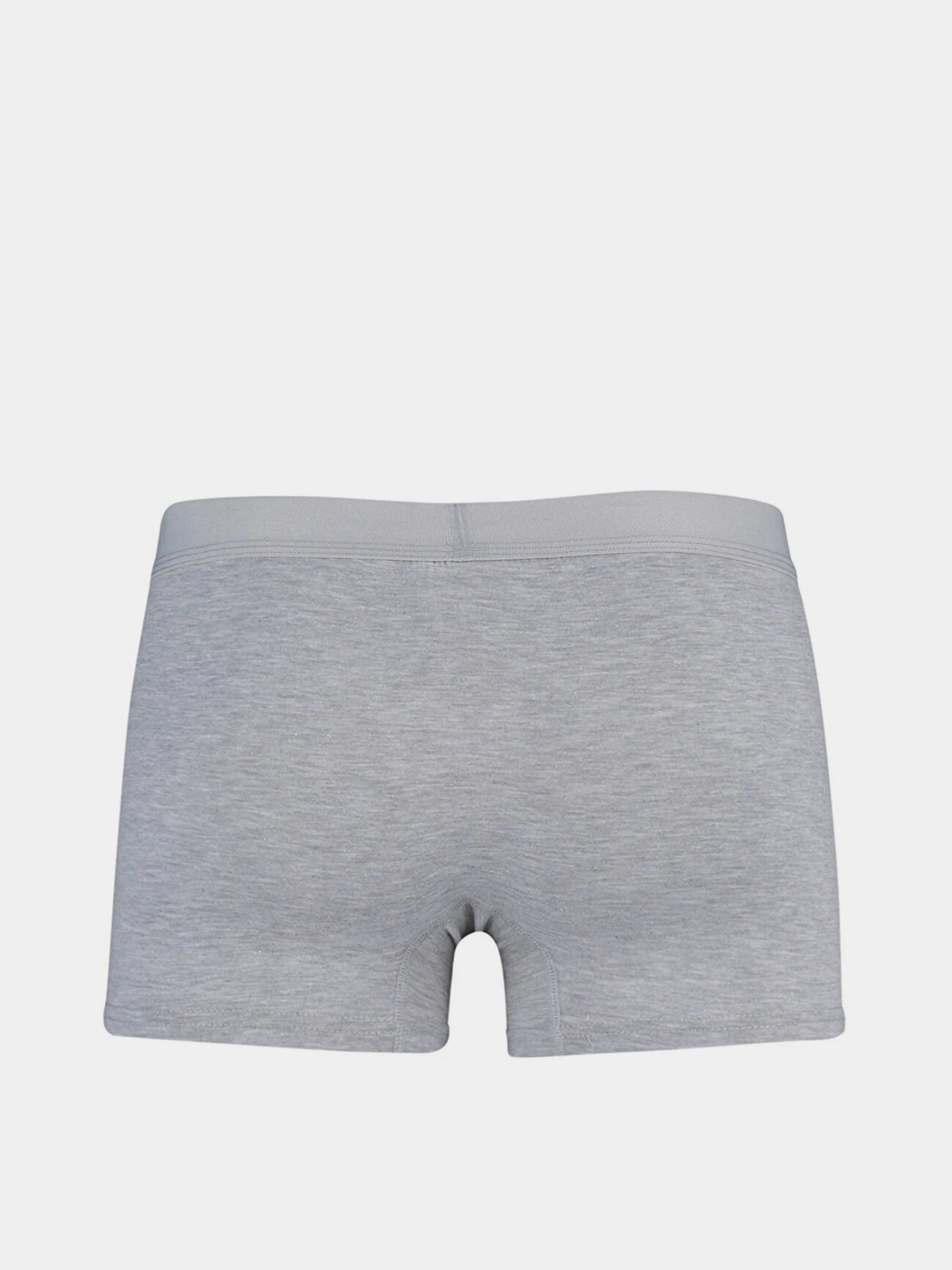 Нижнее белье Trendyol модель TMNAW23BX00023/Cok Renkli Фото