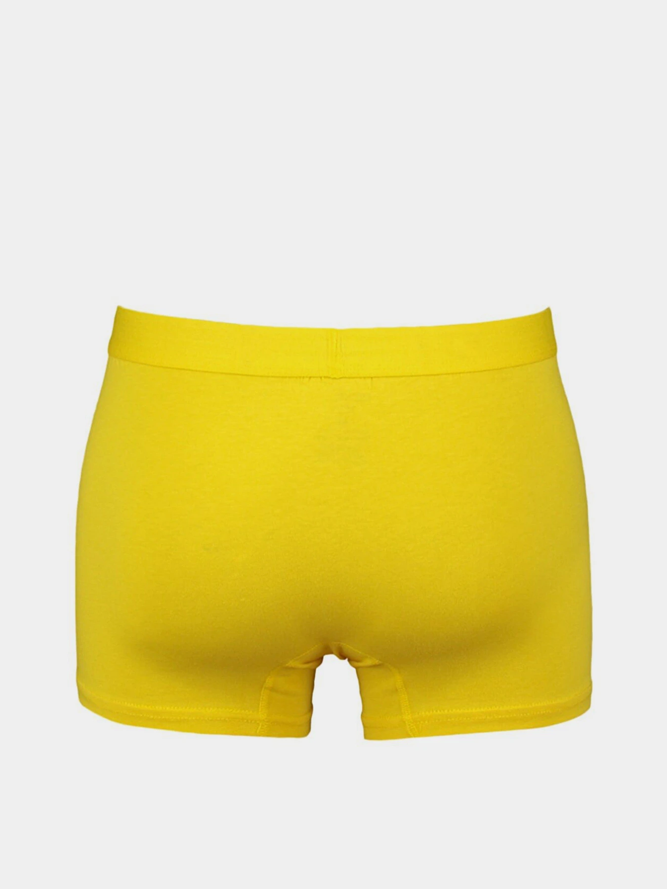 Нижнее белье Trendyol модель TMNAW23BX00030/Cok Renkli Фото