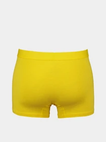 Нижнее белье Trendyol модель TMNAW23BX00030/Cok Renkli Фото