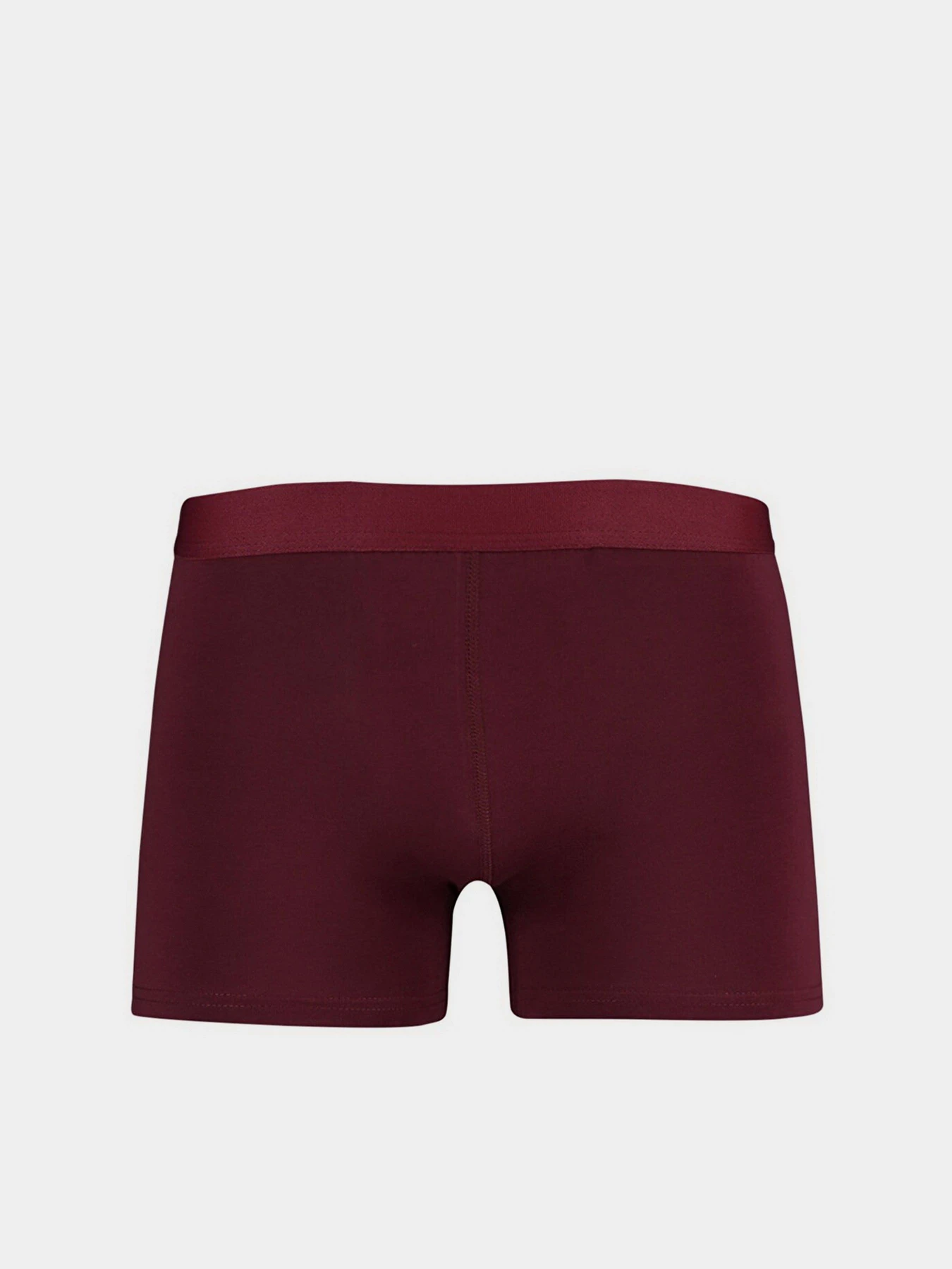 Нижнее белье Trendyol модель TMNAW23BX00024/Cok Renkli Фото