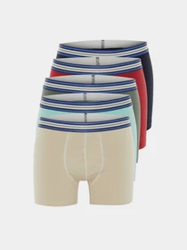 Нижня білизна Trendyol модель TMNAW23BX00063/Cok Renkli Фото