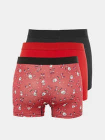 Нижня білизна Trendyol модель TMNAW23BX00003/Kirmizi Фото