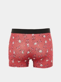 Нижня білизна Trendyol модель TMNAW23BX00003/Kirmizi Фото