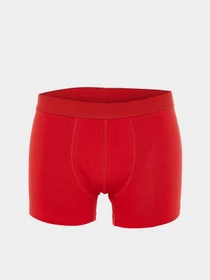 Нижня білизна Trendyol модель TMNAW23BX00003/Kirmizi Фото