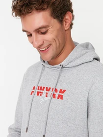 Худі та світшоти Trendyol модель TMNAW23SW00040/Gri Фото