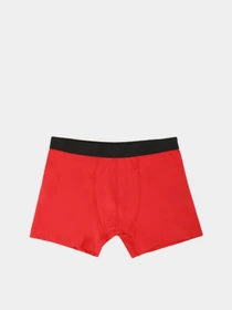 Нижнее белье Trendyol модель TMNSS22BX00008/Cok Renkli Фото