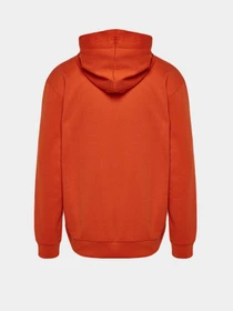 Худи и свитшоты Trendyol модель TMNAW21SW0617/Turuncu Фото