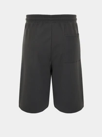 Шорты Trendyol модель TMNSS24SR00037/Fume Фото