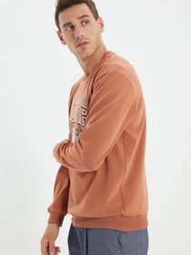 Худи и свитшоты Trendyol модель TMNAW22SW0097/Camel Фото