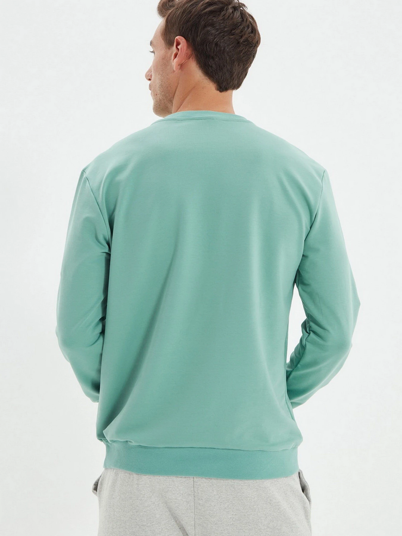 Худи и свитшоты Trendyol модель TMNAW22SW0097/Mint Худи и свитшоты Trendyol модель TMNAW22SW0097/Mint Фото