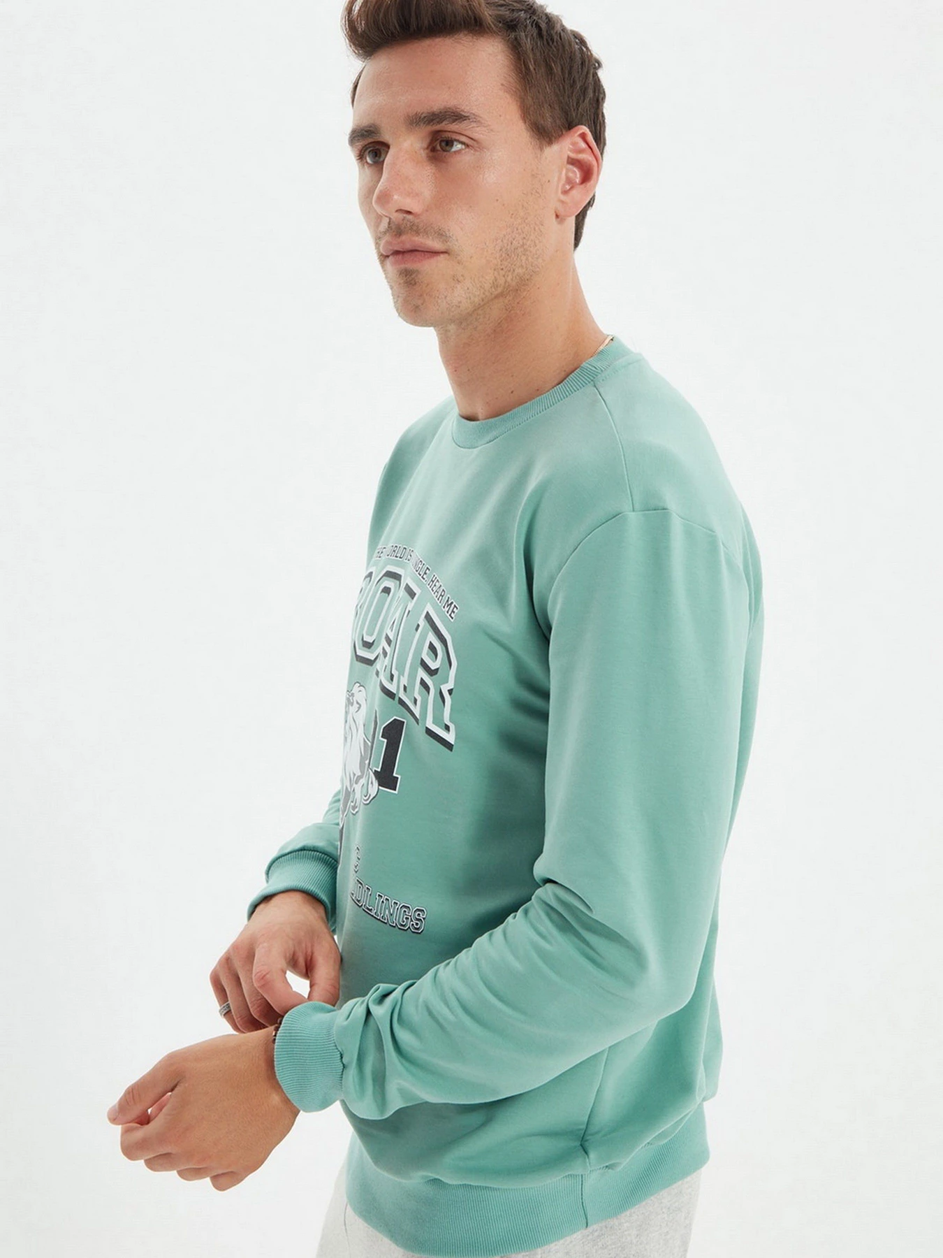 Худи и свитшоты Trendyol модель TMNAW22SW0097/Mint Худи и свитшоты Trendyol модель TMNAW22SW0097/Mint Фото