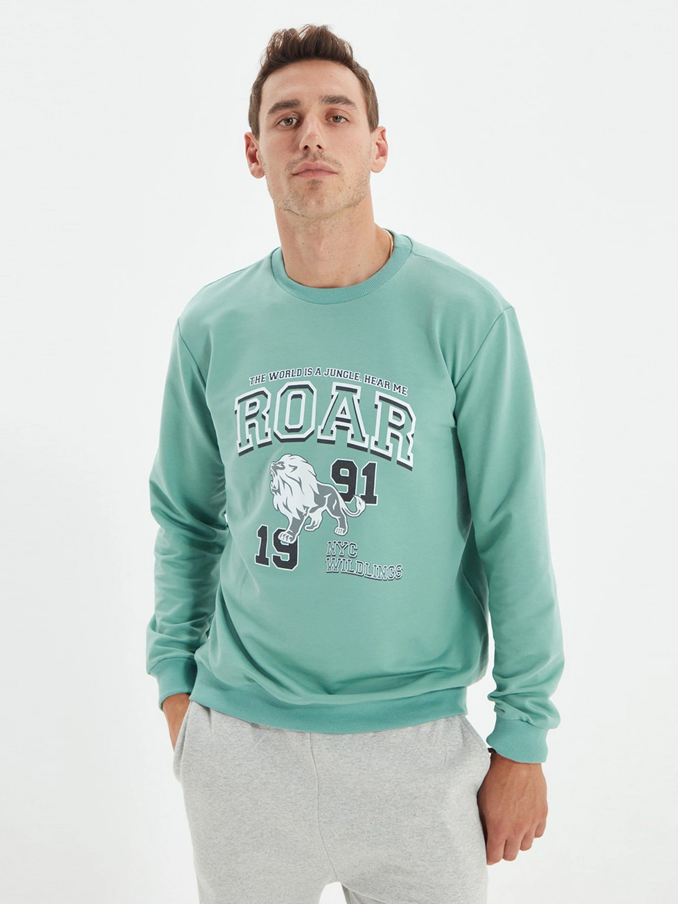 Худи и свитшоты Trendyol модель TMNAW22SW0097/Mint Худи и свитшоты Trendyol модель TMNAW22SW0097/Mint Фото
