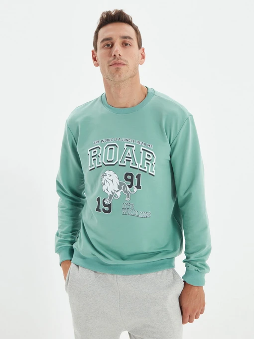 Худи и свитшоты Trendyol модель TMNAW22SW0097/Mint Фото