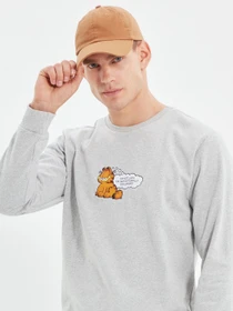 Худи и свитшоты Trendyol модель TMNAW21SW0569/Gri Фото