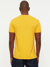 Футболки і поло Trendyol модель TMNSS19BO0002/Hardal Фото