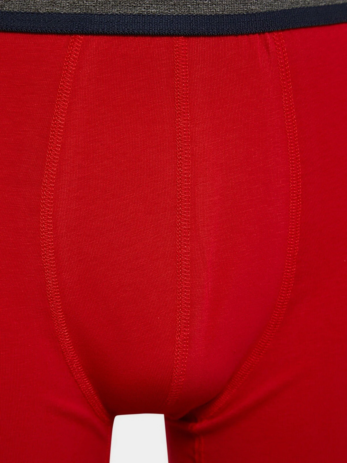 Нижнее белье Trendyol модель TMNAW23BX00017/Cok Renkli Фото