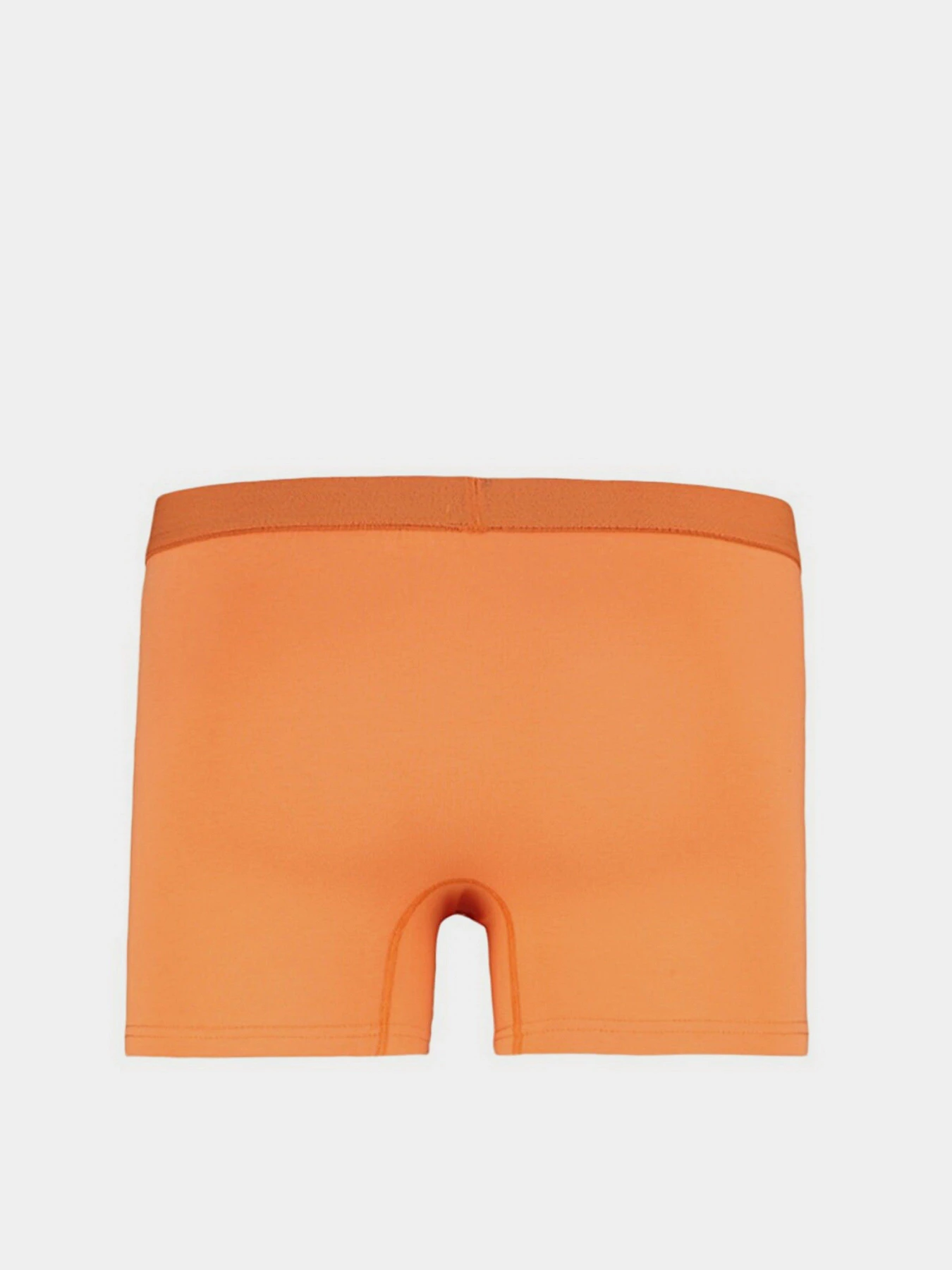 Нижнее белье Trendyol модель TMNAW23BX00013/Cok Renkli Фото