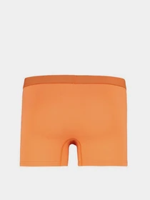 Нижнее белье Trendyol модель TMNAW23BX00013/Cok Renkli Фото