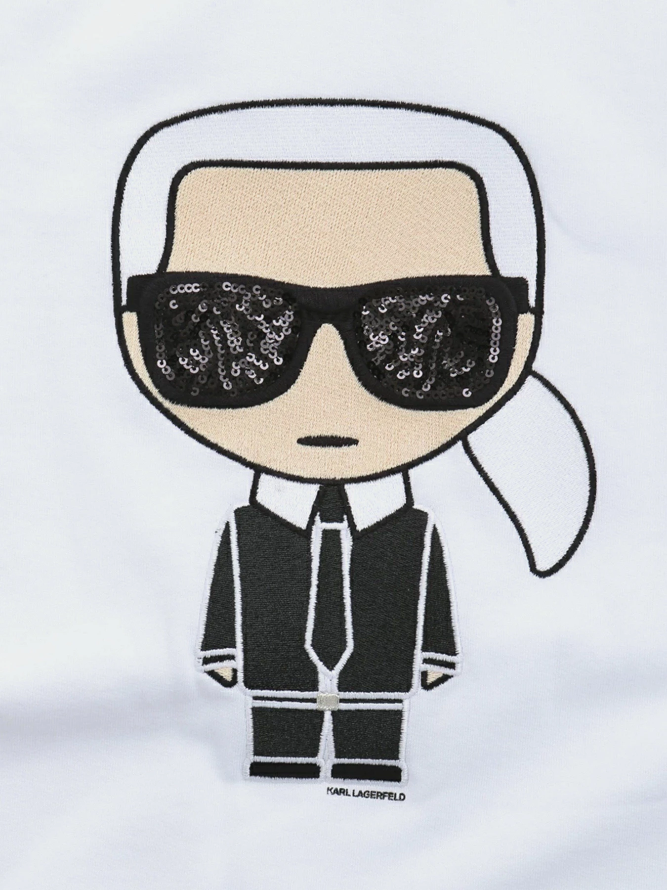 Худи и свитшоты Karl Lagerfeld модель 210W1820_100 Фото