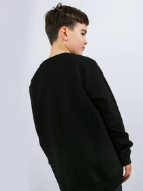 Худи и свитшоты Vans OTW Crew модель VN0A36WQJ1M1 Фото