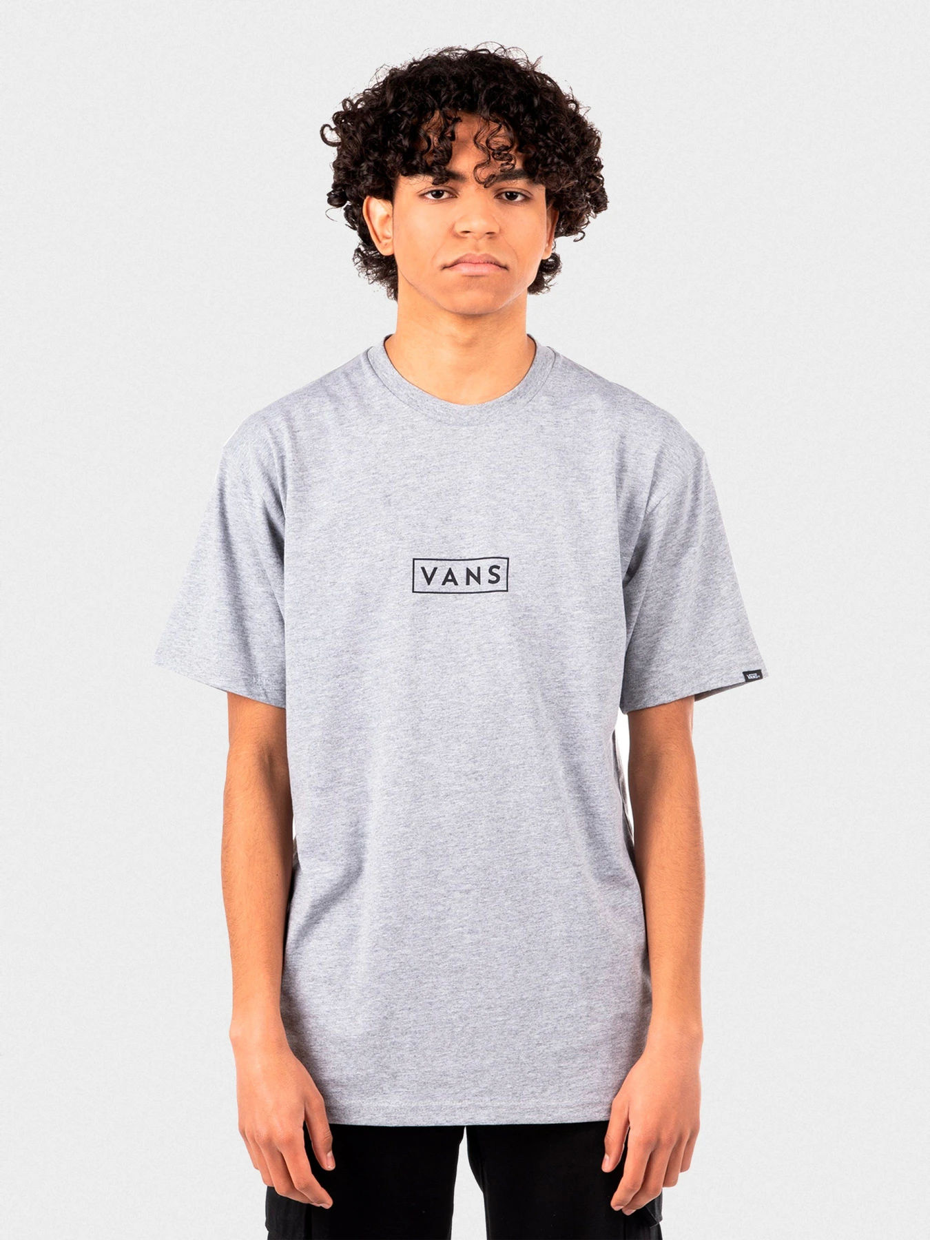 Футболки і поло Vans Classic Easy Box модель VN0A5E81ATJ1 Фото