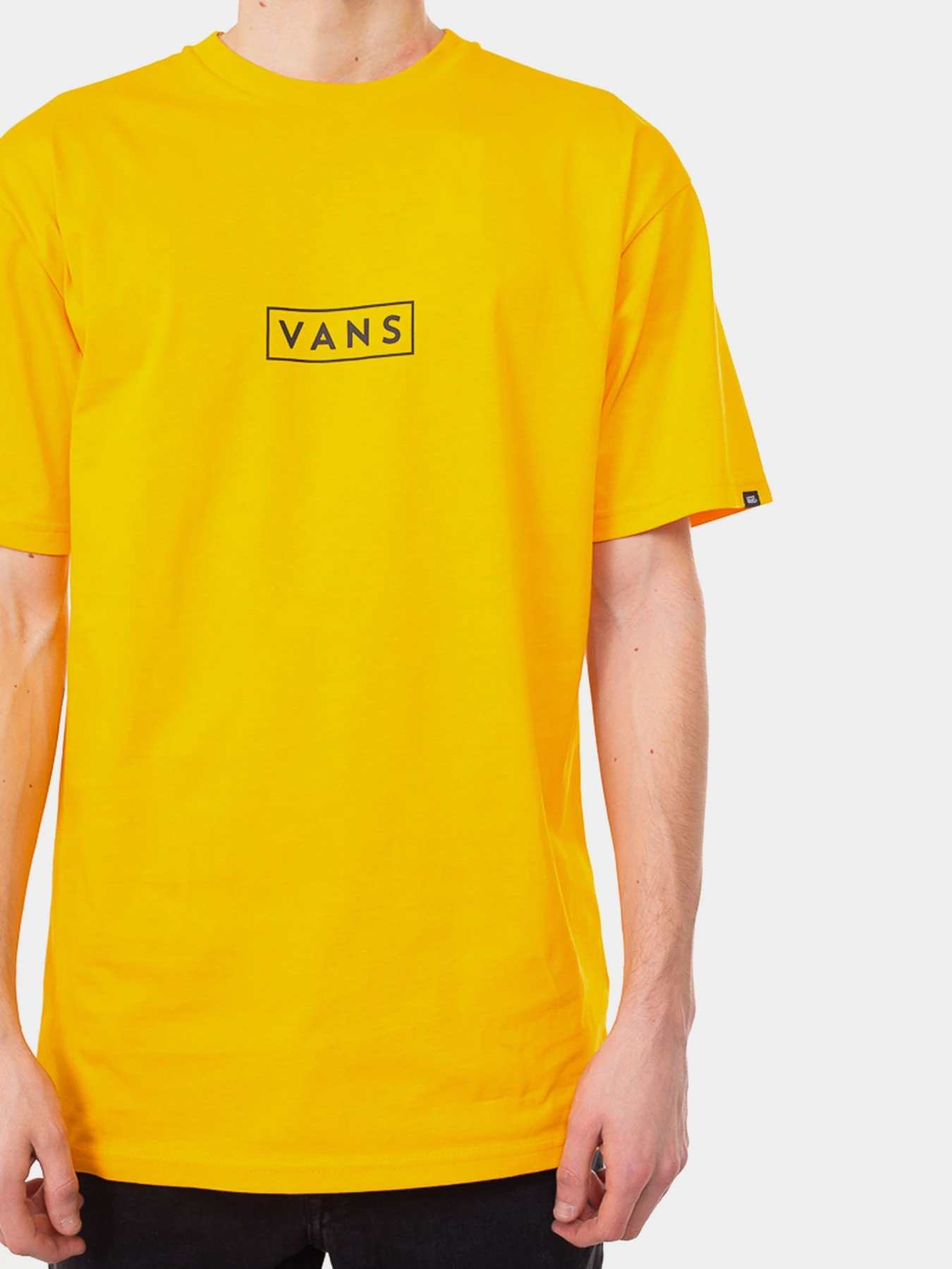 Футболки і поло Vans Classic Easy Box модель VN0A5E81Z5K1 Футболки і поло Vans Classic Easy Box модель VN0A5E81Z5K1 Фото