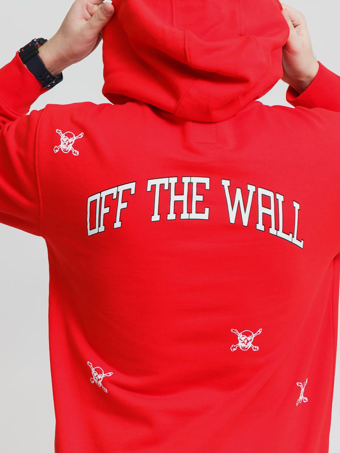Худи и свитшоты Vans New Varsity модель VN0A54AF4PV1 Худи и свитшоты Vans New Varsity модель VN0A54AF4PV1 Фото