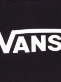 Худі та світшоти Vans Flying V FT Boxy модель VN0A4BG3BLK1 Фото