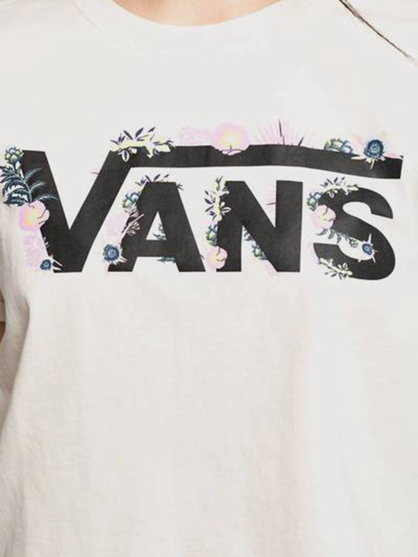 Футболки и поло Vans Blozzom Roll Out модель VN0A53Q2FS81 Футболки и поло Vans Blozzom Roll Out модель VN0A53Q2FS81 Фото