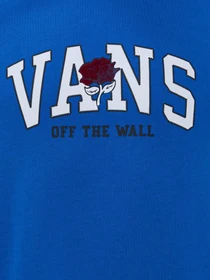 Худи и свитшоты Vans Champs Po модель VN0A5KE25XT1 Фото
