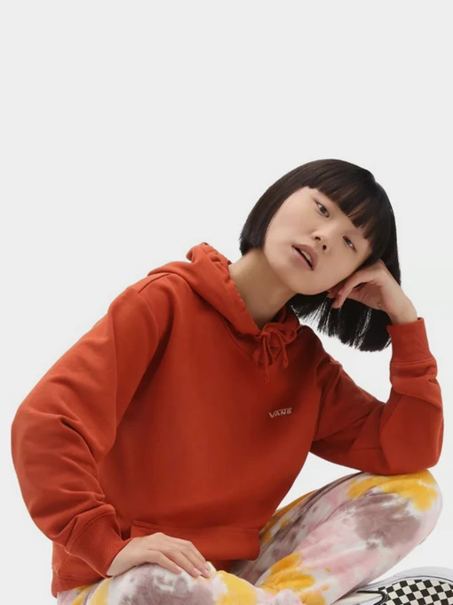 Худі та світшоти Vans Flying V Bff Ft Hoodie модель VN0A5AR490W1 Фото