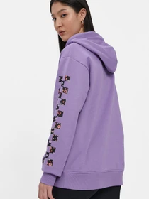 Худі та світшоти Vans Wyld Tangle Ii Hoodie модель VN0A5JGUZB21 Фото