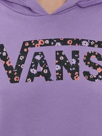 Худі та світшоти Vans Wyld Tangle Ii Hoodie модель VN0A5JGUZB21 Фото
