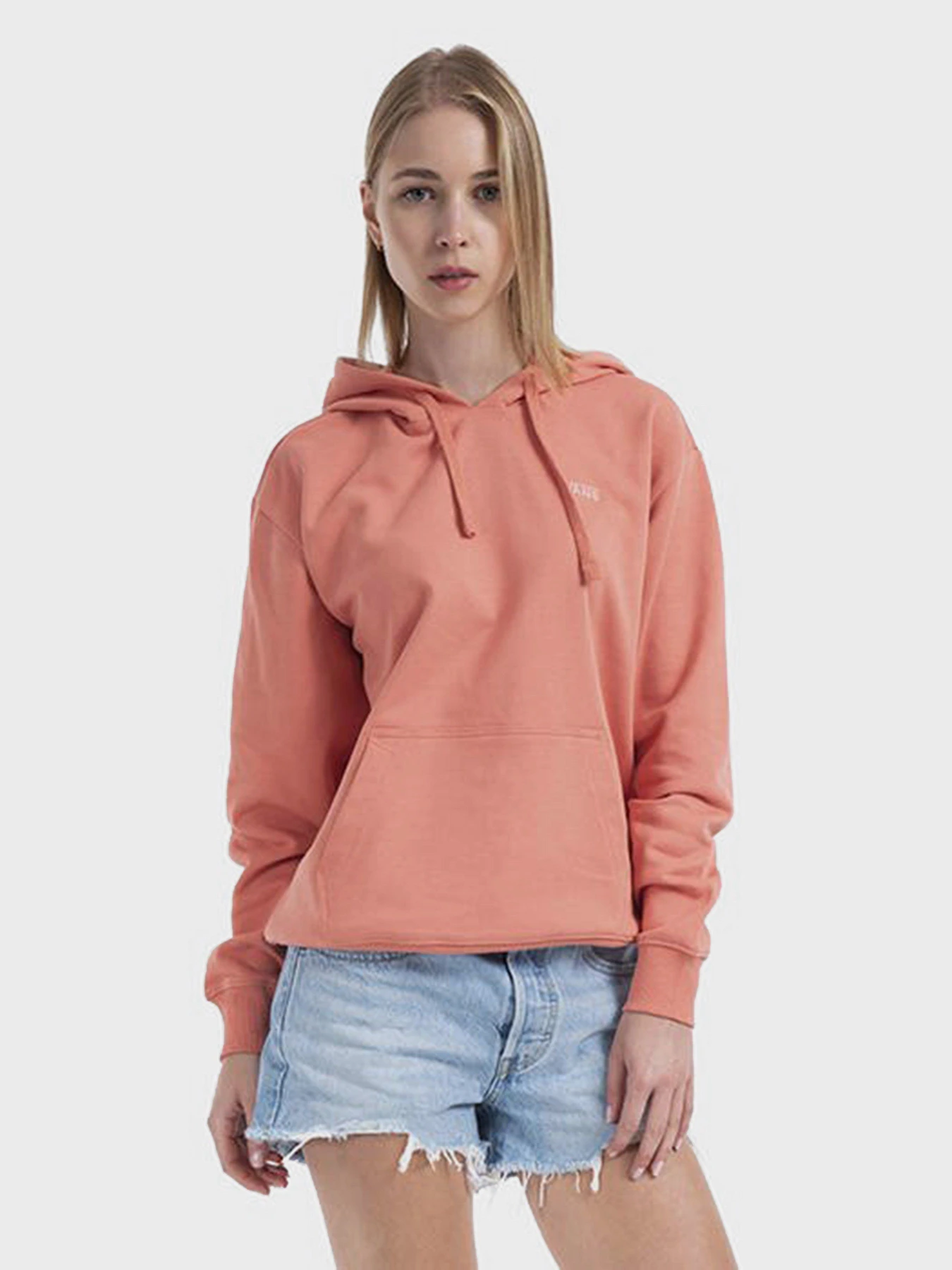 Худі та світшоти Vans Flying V Bff Ft Hoodie модель VN0A5AR4YZO1 Фото