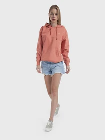 Худі та світшоти Vans Flying V Bff Ft Hoodie модель VN0A5AR4YZO1 Фото