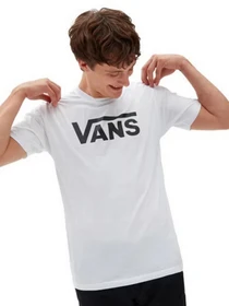 Футболки і поло Vans Drop V модель VN0A5HMHYB21 Фото