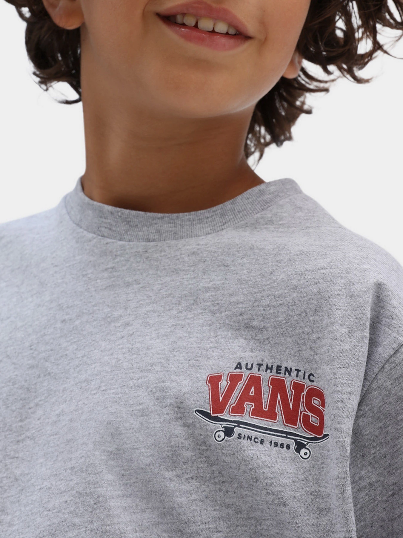 Футболки и поло Vans Sk8 Horizon Ss Athletic Heather модель VN0A7SI6ATH1 Фото