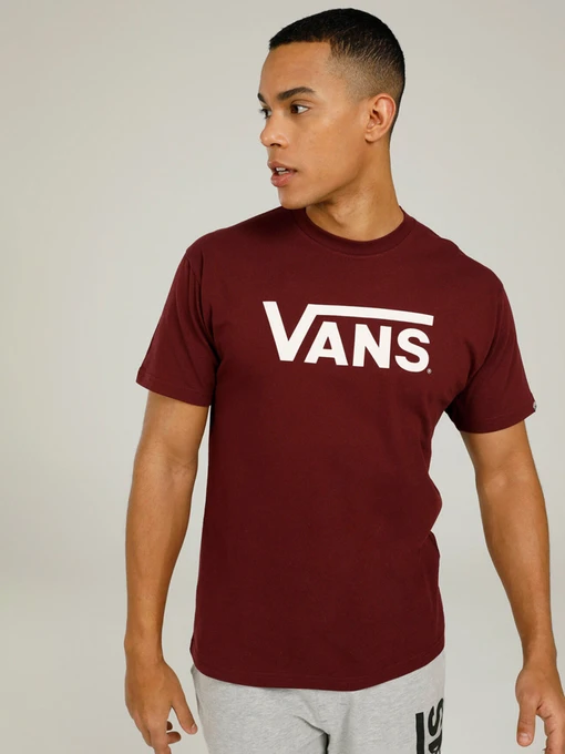 Футболки и поло Vans Drop V модель VN0A5HMHKG21 Фото
