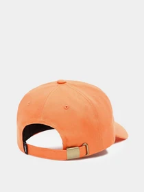 Шапки та кепки Vans Curved Bill модель VN0A36IUYST1 Фото