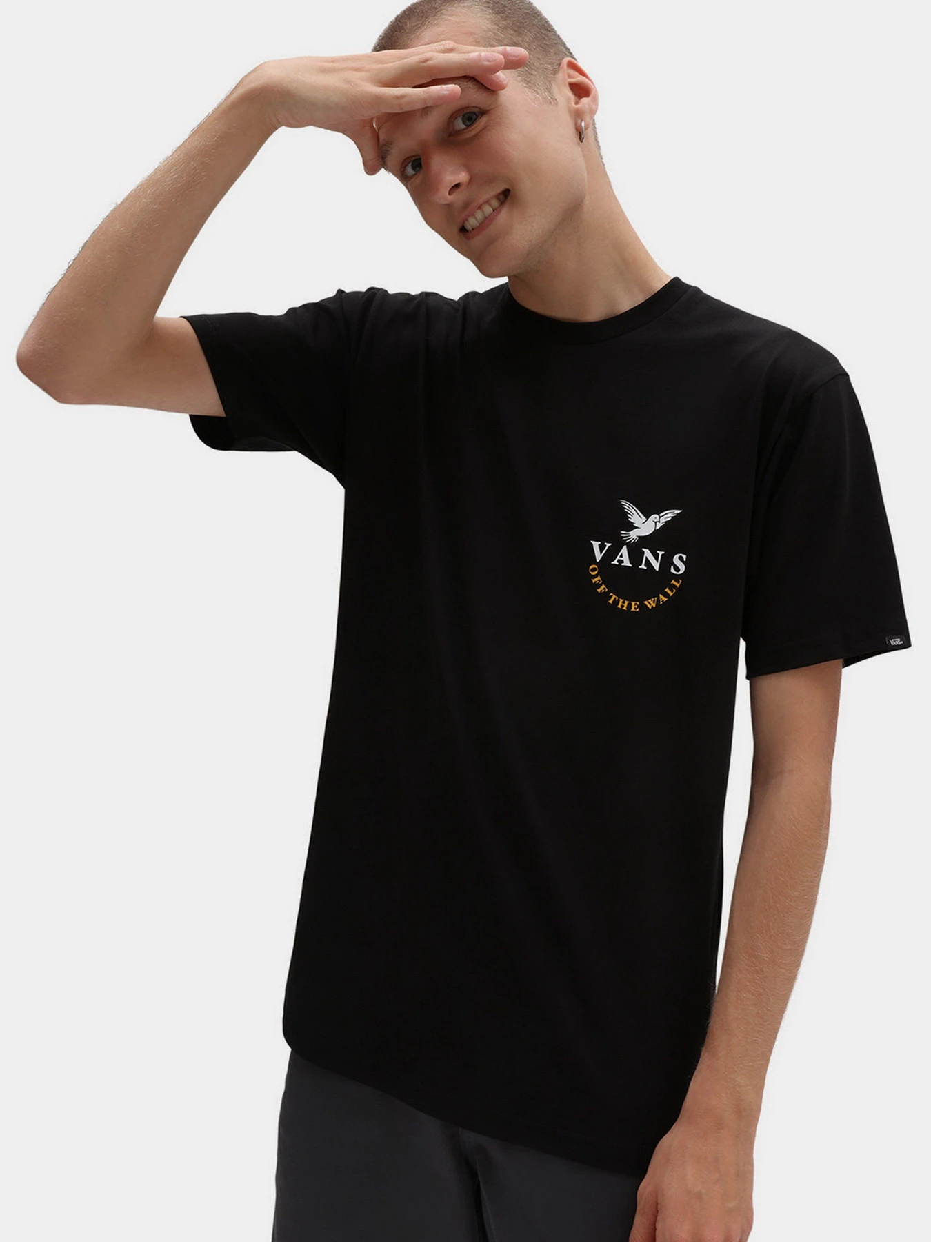 Футболки и поло Vans Otherside модель VN0A7PKKBLK1 Футболки и поло Vans Otherside модель VN0A7PKKBLK1 Фото