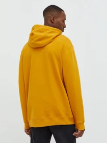 Худи и свитшоты Vans Classic Pullover II модель VN0A456BF3X1 Фото