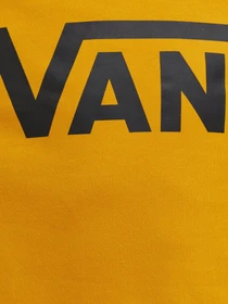 Худи и свитшоты Vans Classic Pullover II модель VN0A456BF3X1 Фото