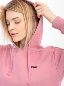 Худи и свитшоты Vans Flying V Bff Ft модель VN0A5AR4BD51 Фото