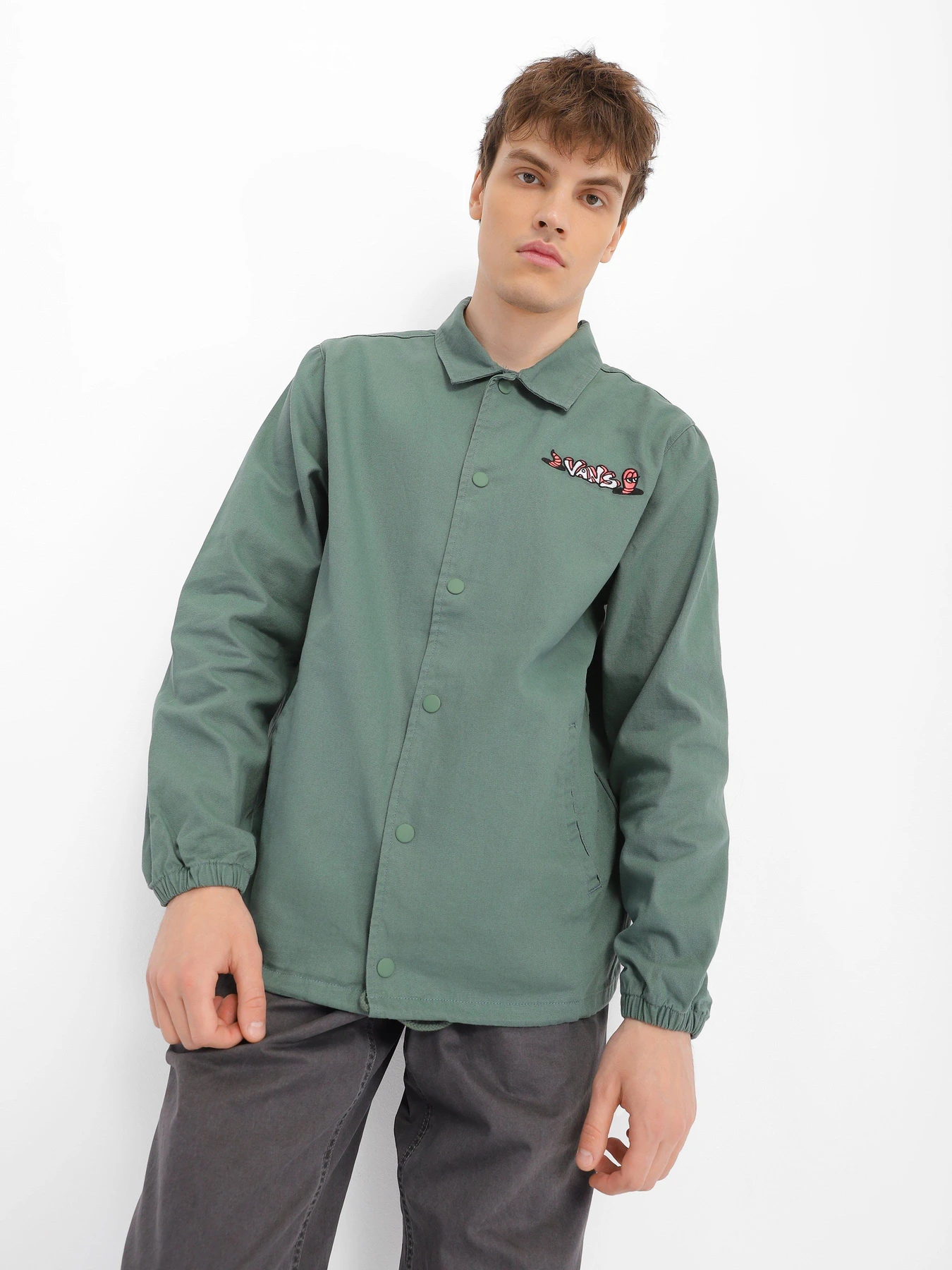 Куртки и дубленки Vans Torrey Skate модель VN0A5FPQYQW1 Куртки и дубленки Vans Torrey Skate модель VN0A5FPQYQW1 Фото