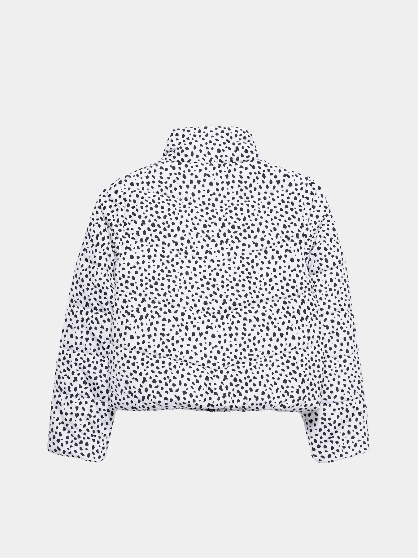 Куртки та дублянки Vans Foundry Puffer Print MTE модель VN0A7YVRY281 Куртки та дублянки Vans Foundry Puffer Print MTE модель VN0A7YVRY281 Фото