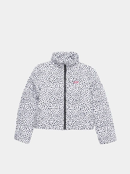 Куртки и дубленки Vans Foundry Puffer Print MTE модель VN0A7YVRY281 Фото
