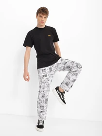 Штани Vans Kevin Peraza Range Loose модель VN000006YB21 Фото