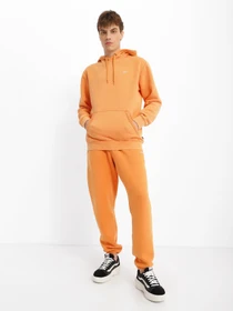 Худі та світшоти Vans Comfycush Wash модель VN0A7YCDZT31 Фото